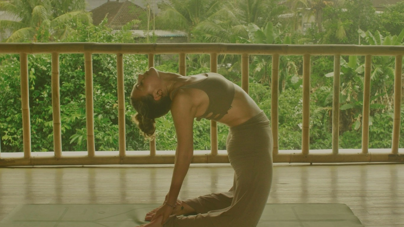 Main background image