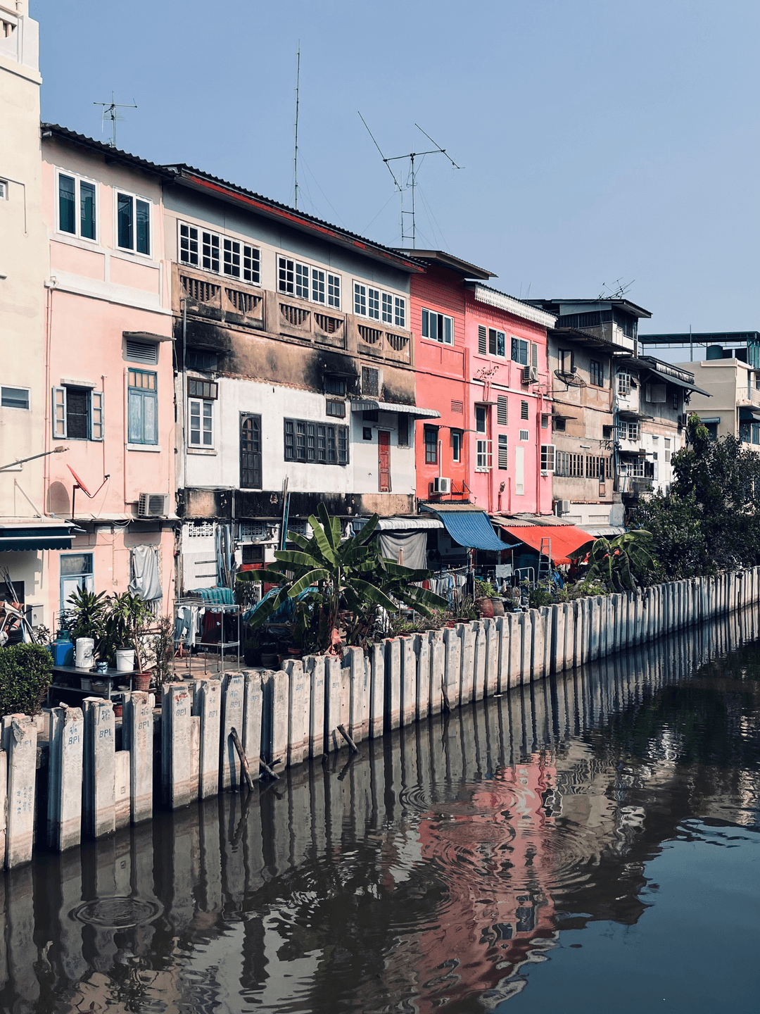 Bangkok local houses