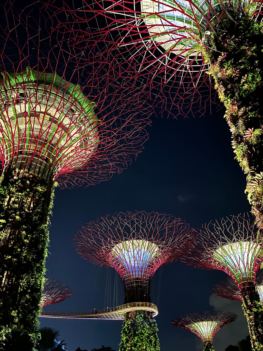 Gardens by the bay Singapore